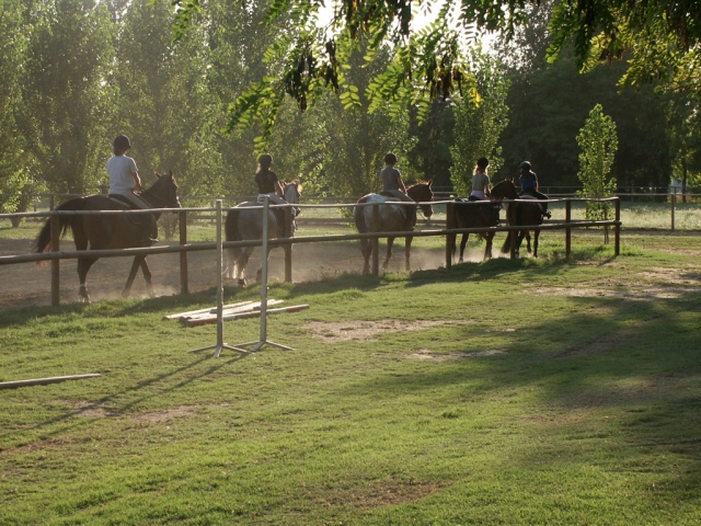  Cursos de equitación 